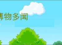 《我成了师尊的白月光》半江鸿　^第21章^ 最新更新:2025-06-21 21:12:06 晋江文学城