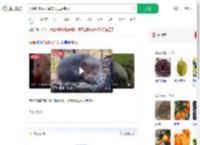夫妻吃来偷柑橘的竹鼠后肺炎_360搜索