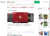 蜘蛛背上花纹酷似人脸_360搜索