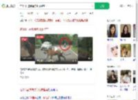 在331国道偶遇东北虎遛弯_360搜索