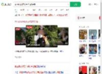 景区蹦极被推下受伤满脸是血_360搜索