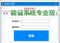 验证系统专业版:多维度软件防护方案解析
