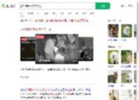 遗弃3狗崽放宠物店门口_360搜索