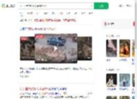 猴子扯断电线引发踩踏致2死_360搜索