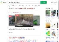 河南干旱到铁锹挖不动土地_360搜索