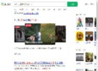 武汉一只狗练出神入化棍法_360搜索