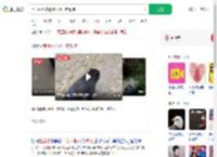 上山捡菌被迷路小熊一路跟随_360搜索