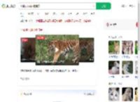 小猫误入虎园被捕食_360搜索