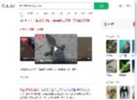 钓鱼佬钓到野生扬子鳄_360搜索