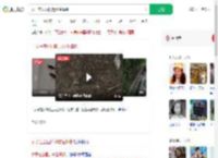 女子在公园附近放生蟑螂_360搜索