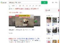 小狗沉迷捡瓶子存款一万多元_360搜索