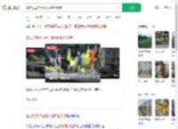 站在桥边护栏跳水后护栏倒塌_360搜索