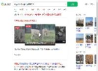 秦皇岛动物园遇猛虎惊魂实录_360搜索