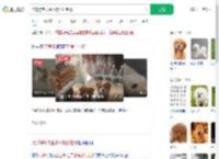 流浪狗乞食生小狗托付老板_360搜索