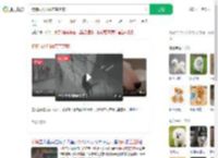 狗狗雨天叼雨布盖芝麻_360搜索