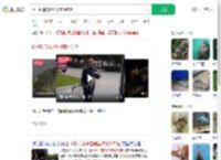 扬子鳄追击黑鱼被意外钓起_360搜索