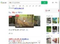 动物园工作人员被狮群咬死_360搜索