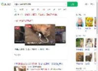 小猫生吞活蛇像在吃辣条_360搜索