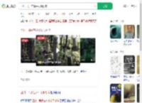 四川一男子在林中发现剑阵_360搜索