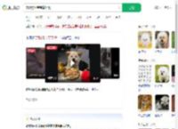 宠物狗坐宝宝椅吃饭_360搜索