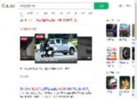 网红狗开车上路_360搜索