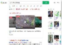 气象台回应绥化突降冰雹_360搜索