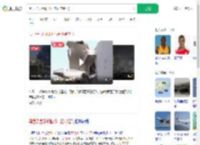黑匣子显示印坠机未正常起飞_360搜索