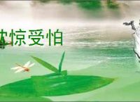 杖剑传说4转术士技能介绍说明 - 逗游网