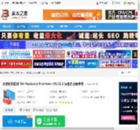 WinTools.net下载 系统优化软件 WinTools.net Premium v25.11.1 绿色多语便携版 下载-脚本之家