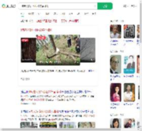 8旬老人砍掉小区20年香樟树_360搜索
