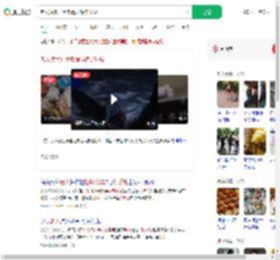 老人凌晨打手电清理海洋垃圾_360搜索