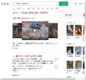猴子扯断电线引发踩踏致2死_360搜索