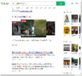 武汉一只狗练出神入化棍法_360搜索