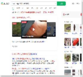 村民干活遭大型猫科动物袭击_360搜索