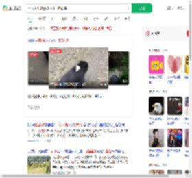 上山捡菌被迷路小熊一路跟随_360搜索