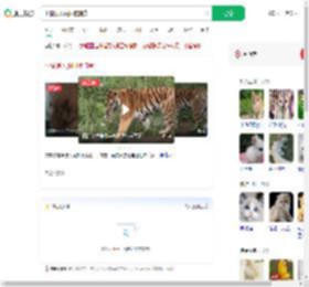 小猫误入虎园被捕食_360搜索
