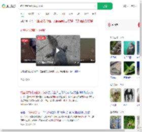 钓鱼佬钓到野生扬子鳄_360搜索