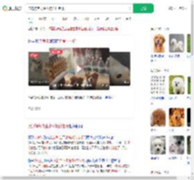 流浪狗乞食生小狗托付老板_360搜索