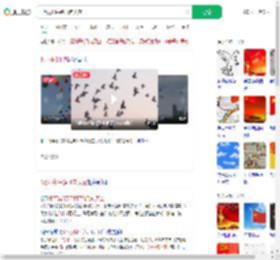 8万羽和平鸽飞向天空_360搜索