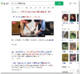 穿山甲误入闹市店主报警_360搜索