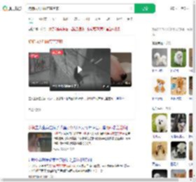 狗狗雨天叼雨布盖芝麻_360搜索