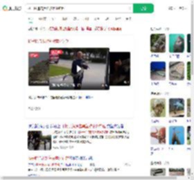 扬子鳄追击黑鱼被意外钓起_360搜索