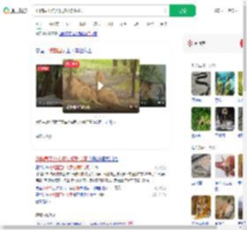 动物园工作人员被狮群咬死_360搜索