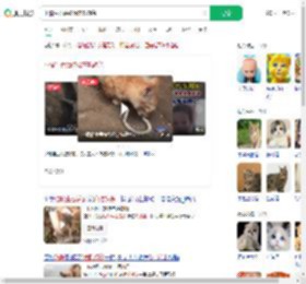 小猫生吞活蛇像在吃辣条_360搜索