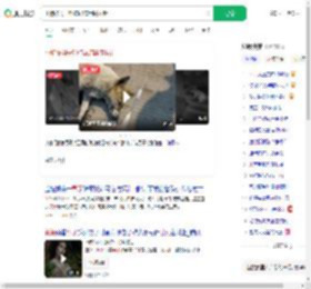 小狗被男子射伤忍痛用嘴拔针_360搜索