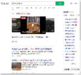 被东风5C烧饼馋到了_360搜索
