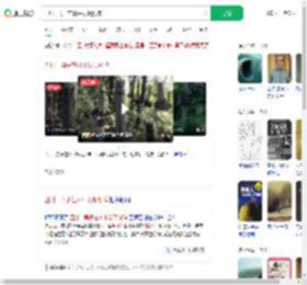 四川一男子在林中发现剑阵_360搜索