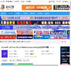 NET8.0下载 Microsoft .NET Core V8.0.21 Windows server Hosting 官方中文免费版 下载-脚本之家