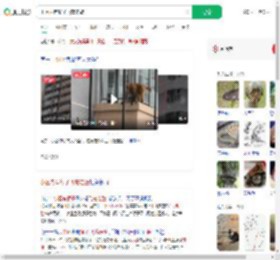 小区内有猴子飞檐走壁_360搜索