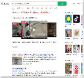 网友发自家小猫卡门上成挂件_360搜索